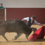 Tentadero en confinamiento en Fuente Ymbro.