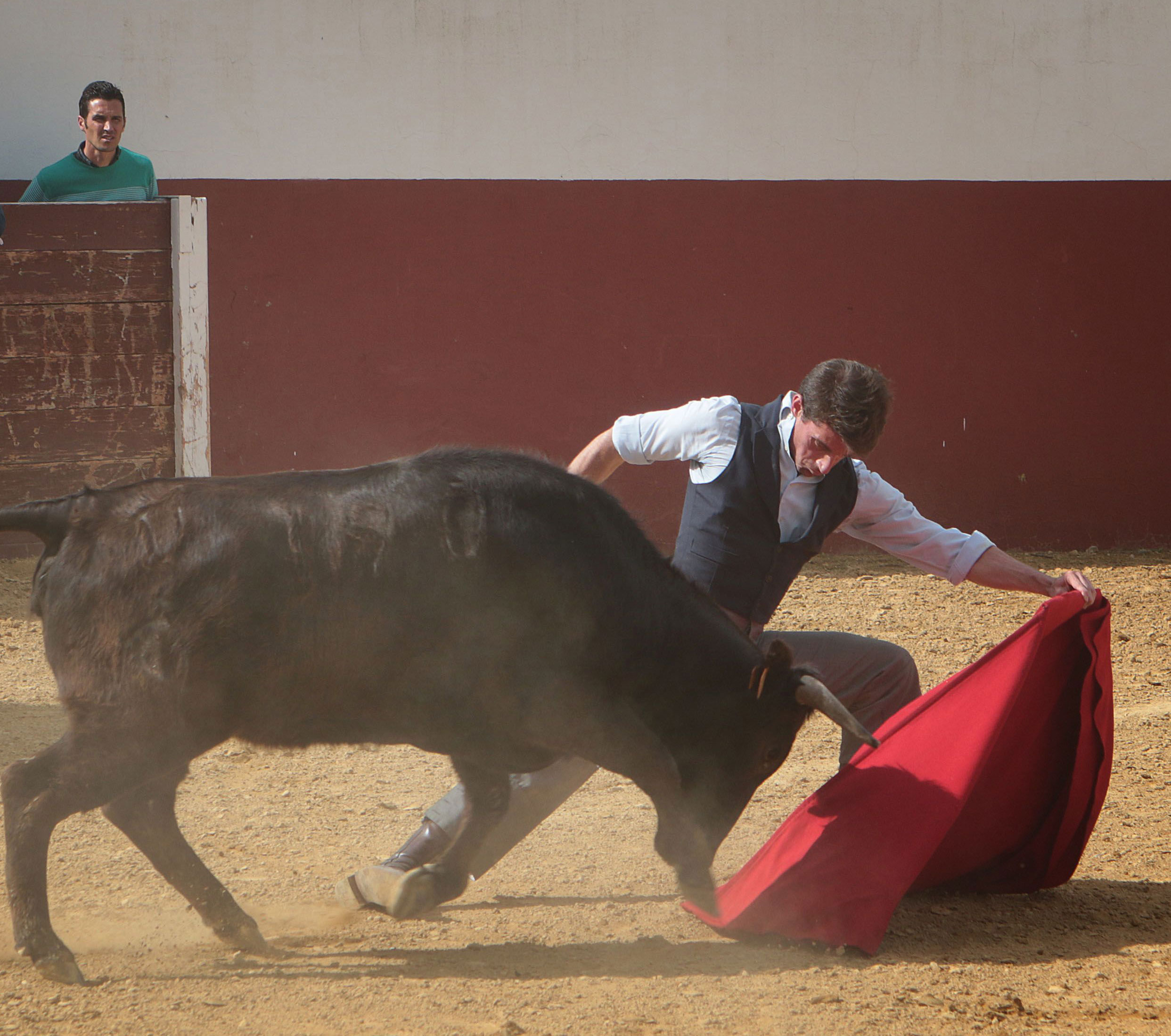 Tentadero en confinamiento en Fuente Ymbro.