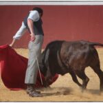 Tentadero en confinamiento en Fuente Ymbro.