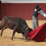 Tentadero en confinamiento en Fuente Ymbro.