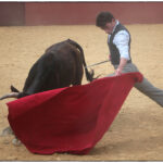 Tentadero en confinamiento en Fuente Ymbro.