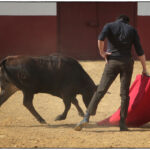 Tentadero en confinamiento en Fuente Ymbro.