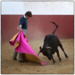 Tentadero en confinamiento en Fuente Ymbro.