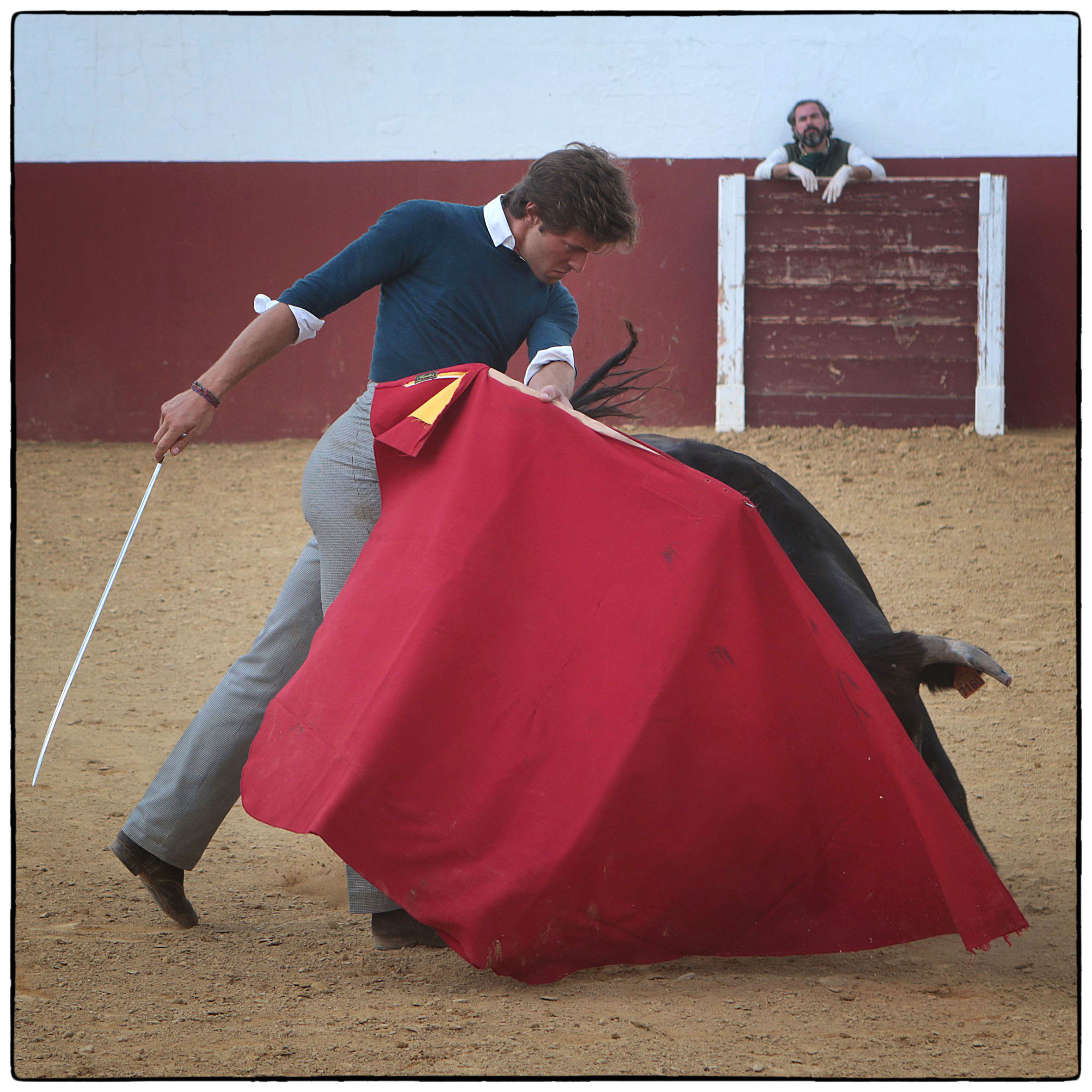 Tentadero en confinamiento en Fuente Ymbro.