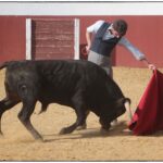 Tentadero en confinamiento en Fuente Ymbro.