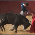 Tentadero en confinamiento en Fuente Ymbro.