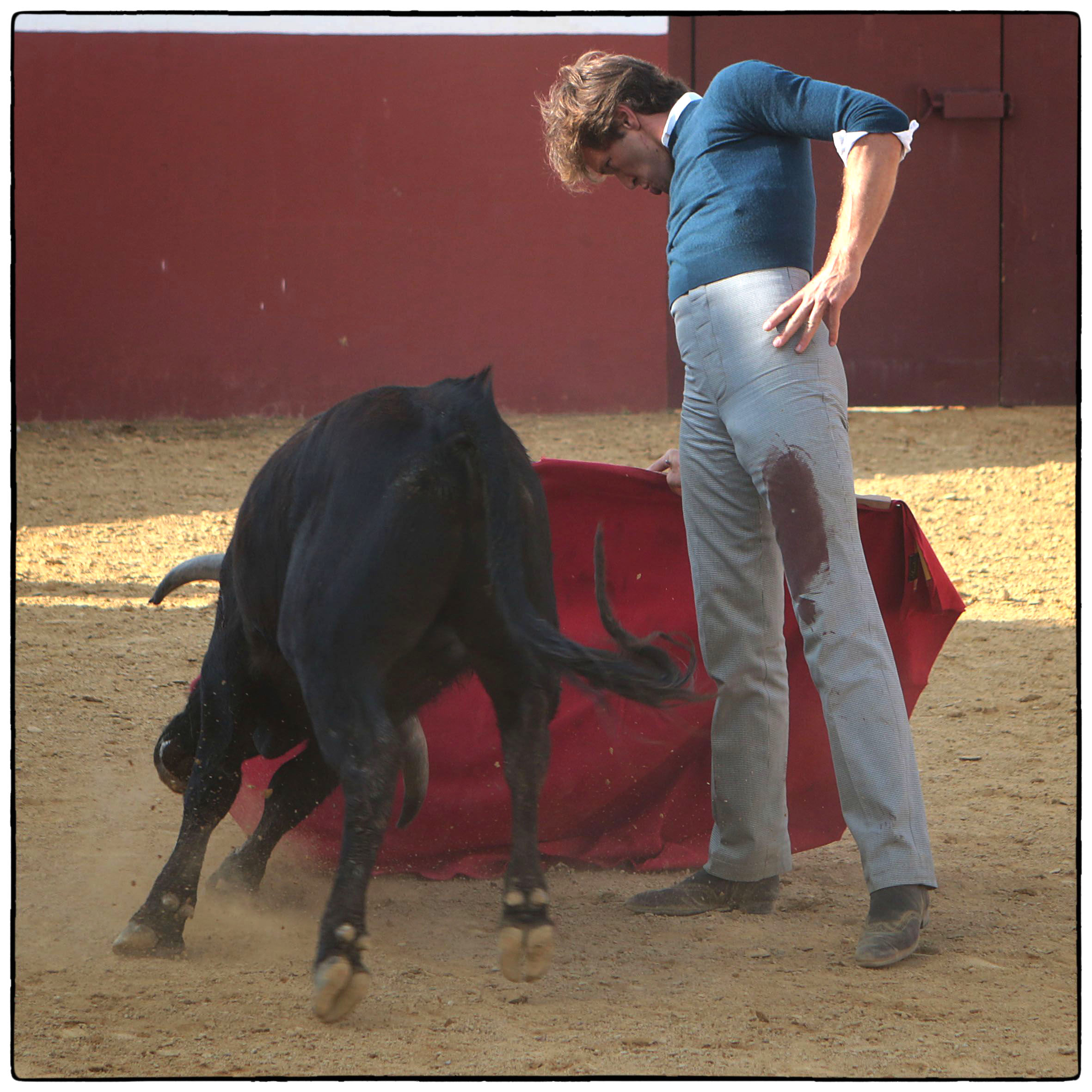 Tentadero en confinamiento en Fuente Ymbro.