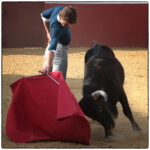 Tentadero en confinamiento en Fuente Ymbro.