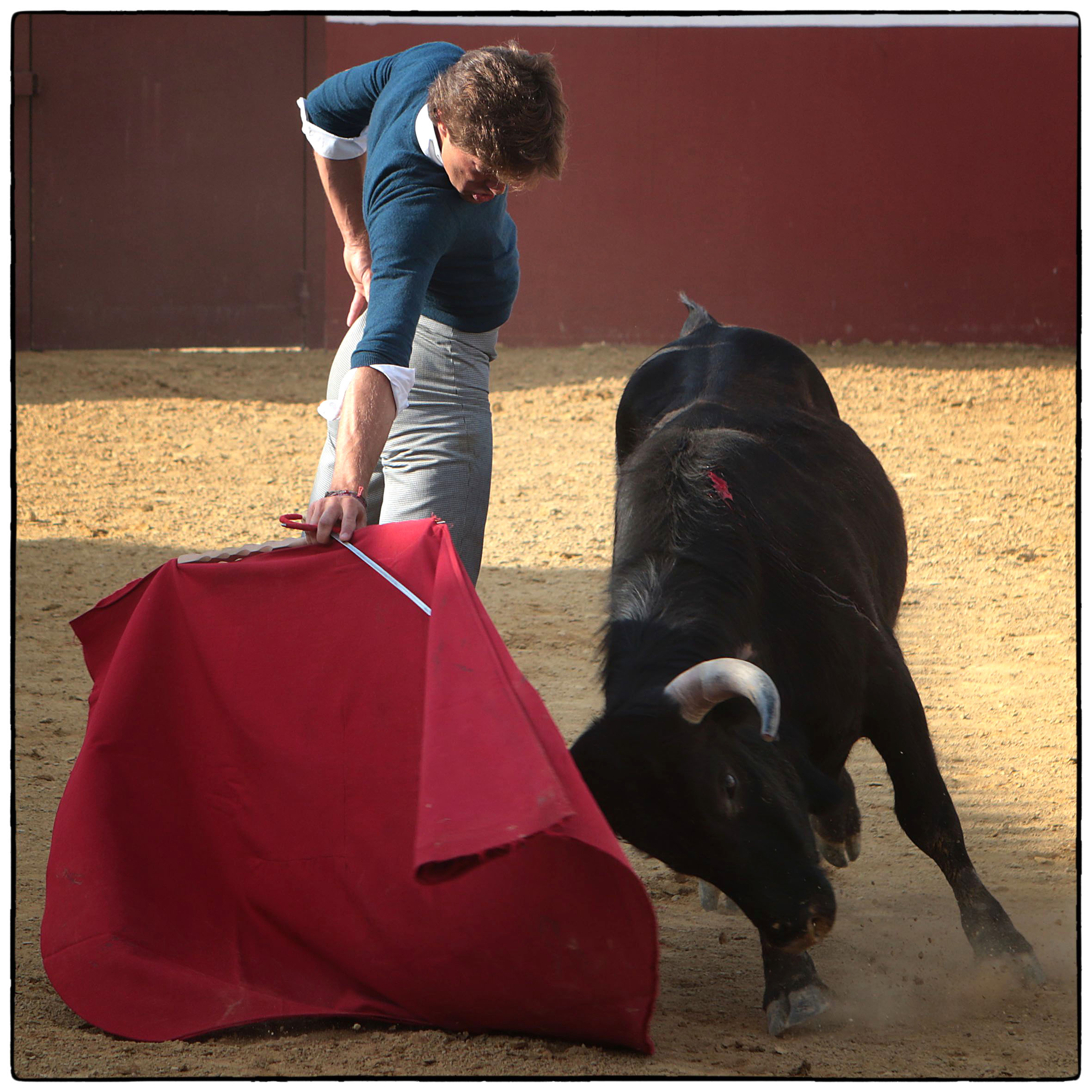 Tentadero en confinamiento en Fuente Ymbro.