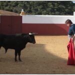 Tentadero en confinamiento en Fuente Ymbro.