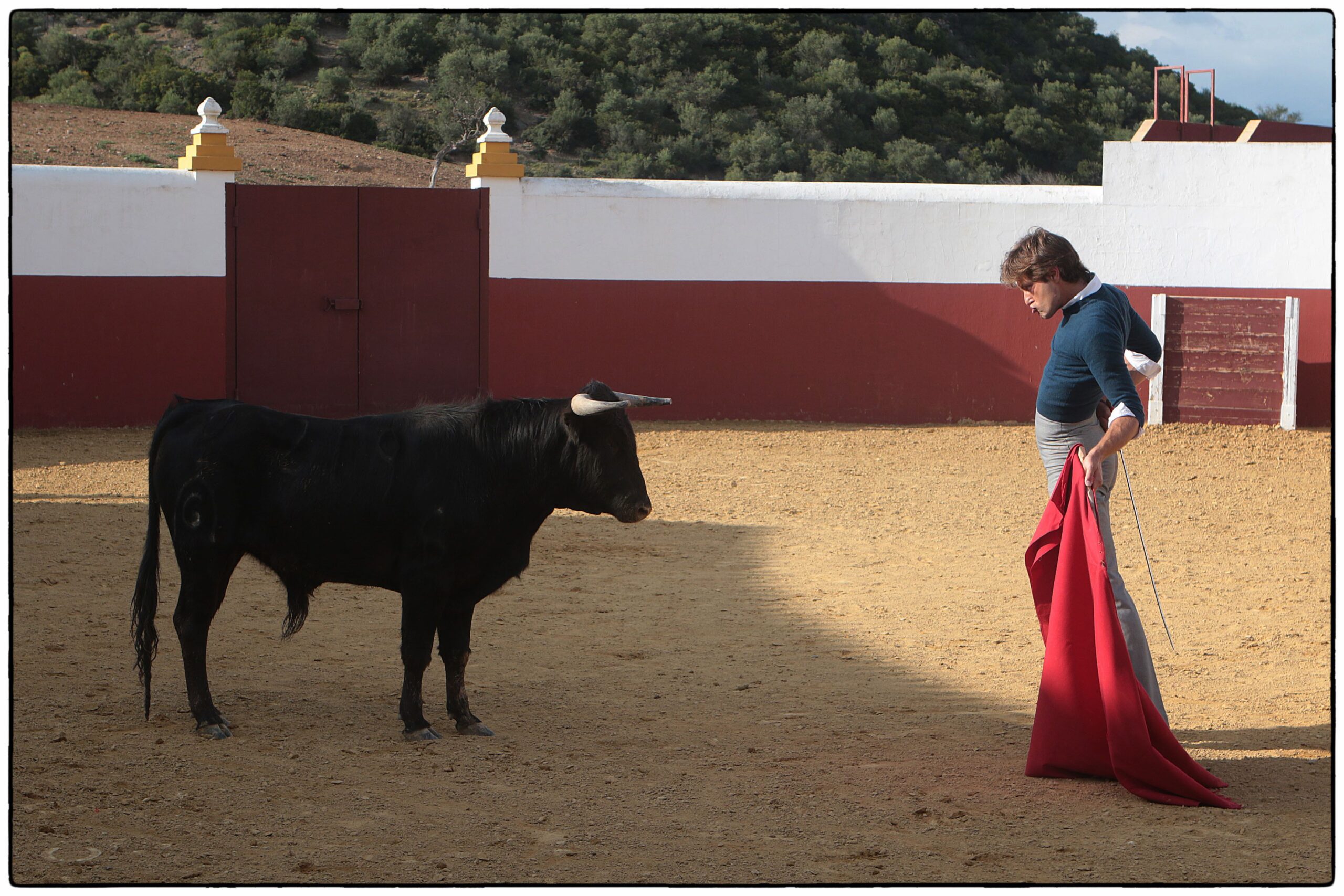 Tentadero en confinamiento en Fuente Ymbro.