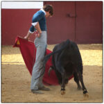 Tentadero en confinamiento en Fuente Ymbro.