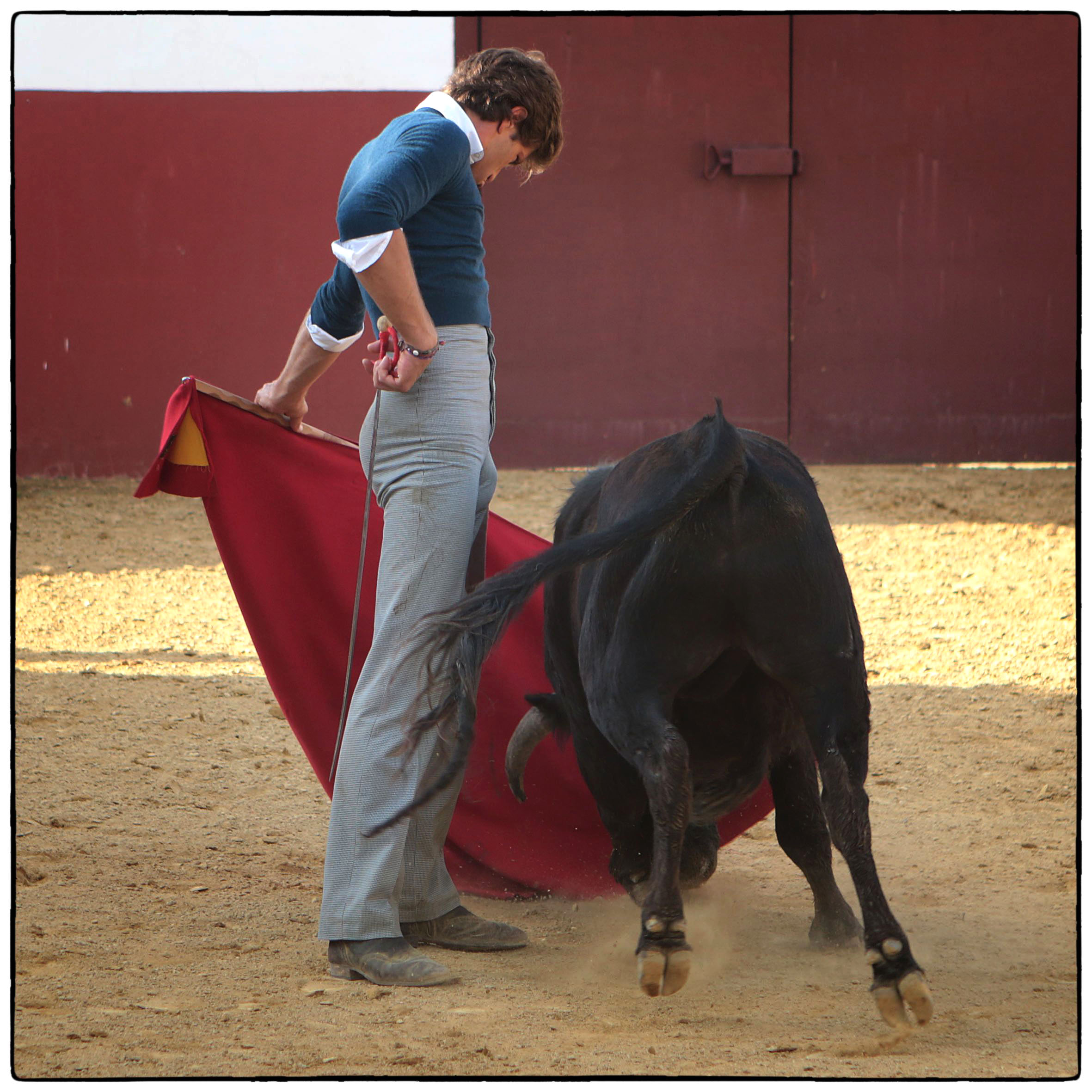 Tentadero en confinamiento en Fuente Ymbro.