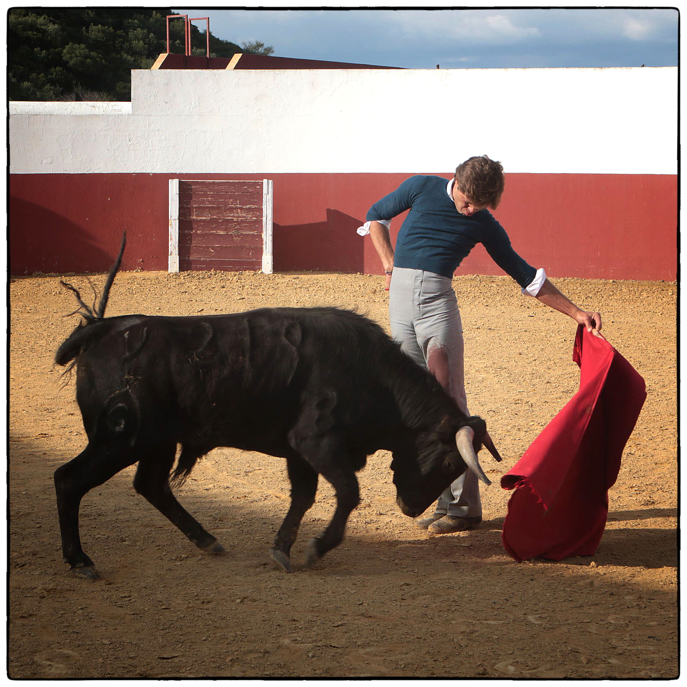 Tentadero en confinamiento en Fuente Ymbro.