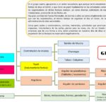 Análisis bous al carrer. Covid-19