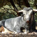 Los Maños. Camada 2020