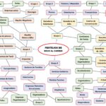 Análisis bous al carrer. Covid-19