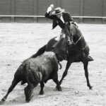 Historia de la Feria de Abril