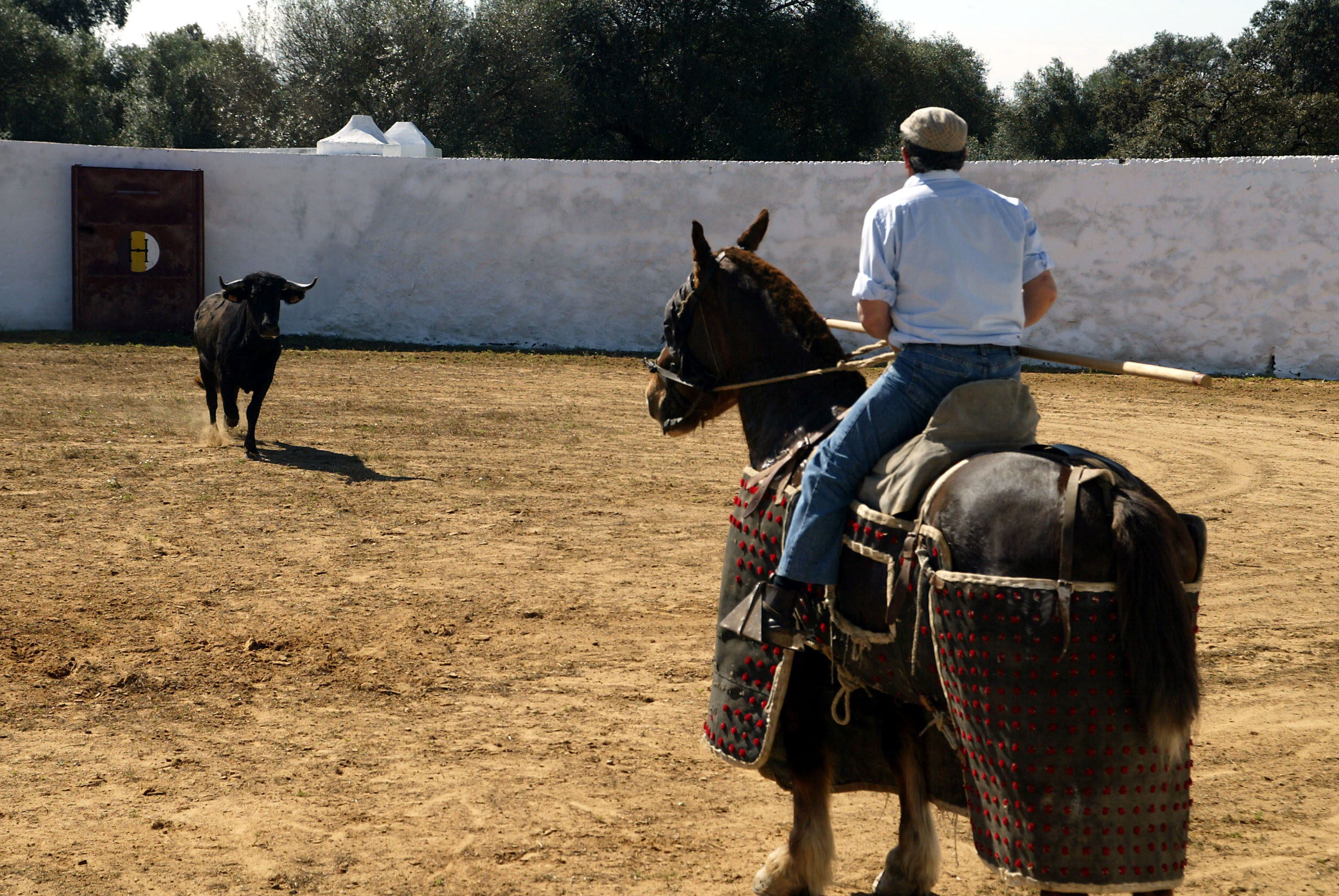 Tentadero Cuadri