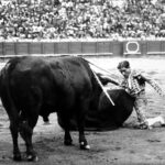 Historia de la Feria de Abril