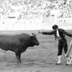 Historia de la Feria de Abril