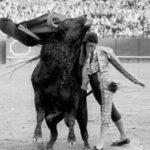 Historia de la Feria de Abril