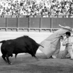 Historia de la Feria de Abril