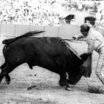 Historia de la Feria de Abril