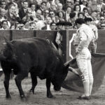 Curro Romero