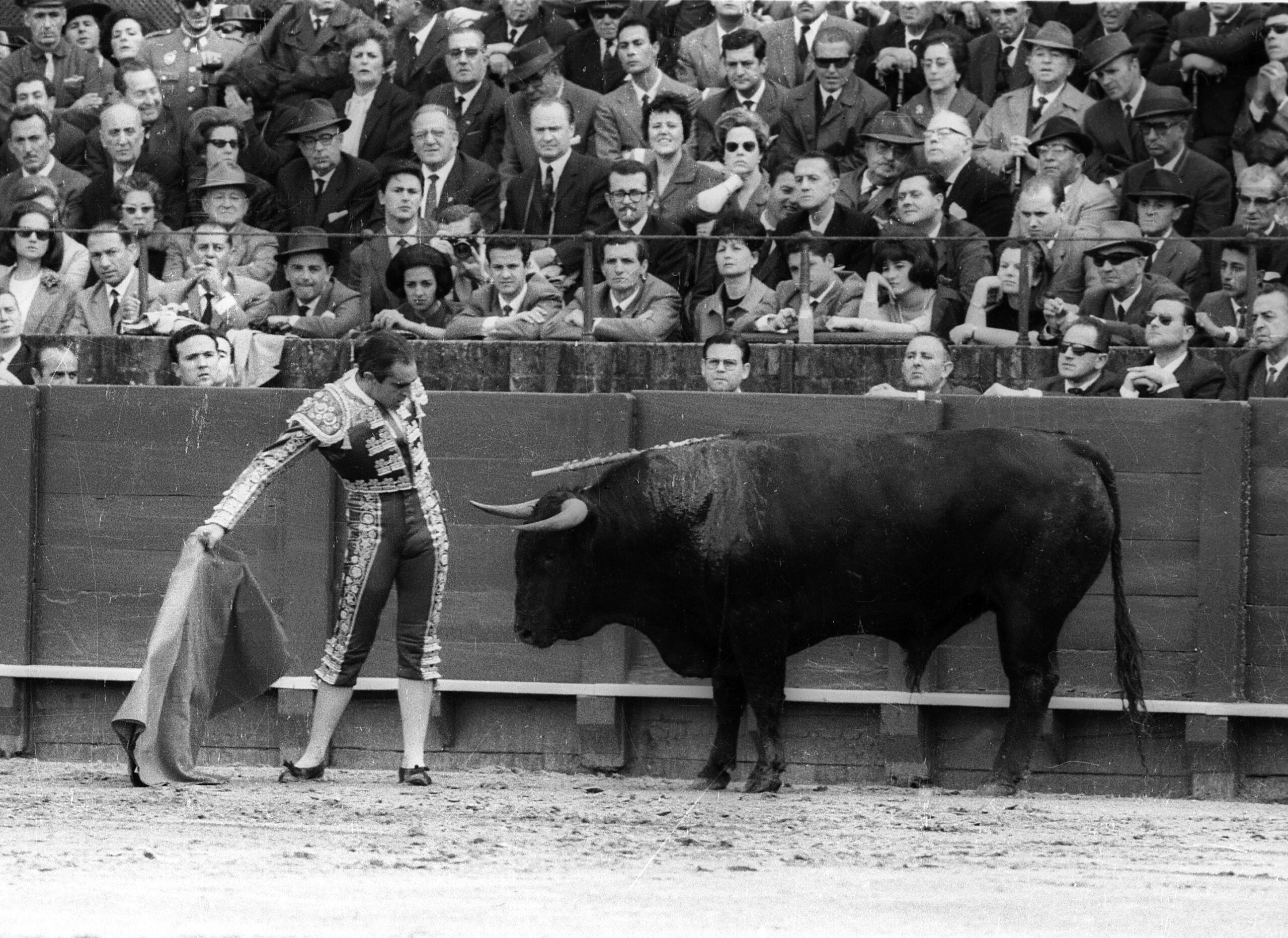 Toreros, historia y arte, el homenaje de CMM a la figura de Pedrés
