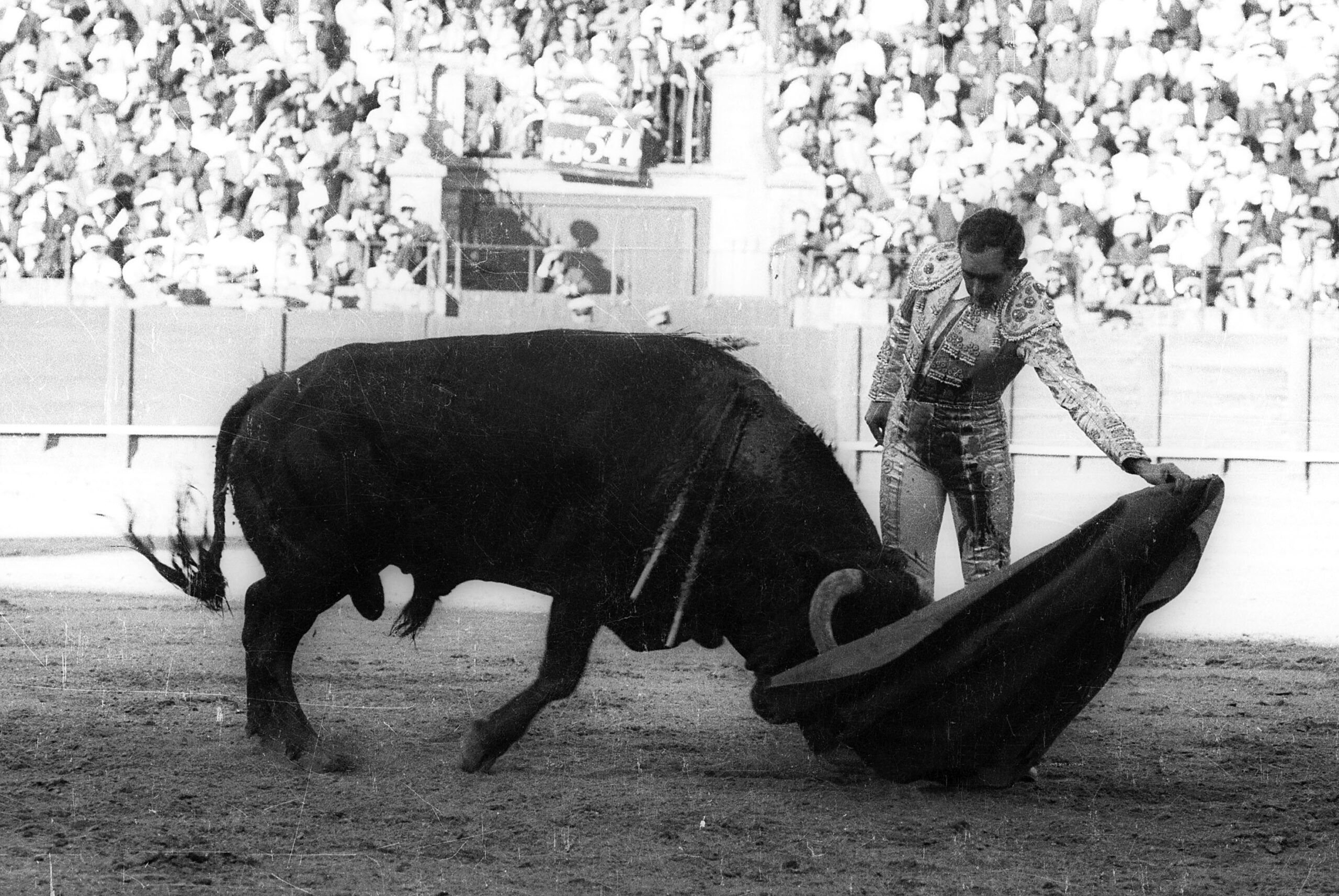 El toreo de Pedrés, en imágenes