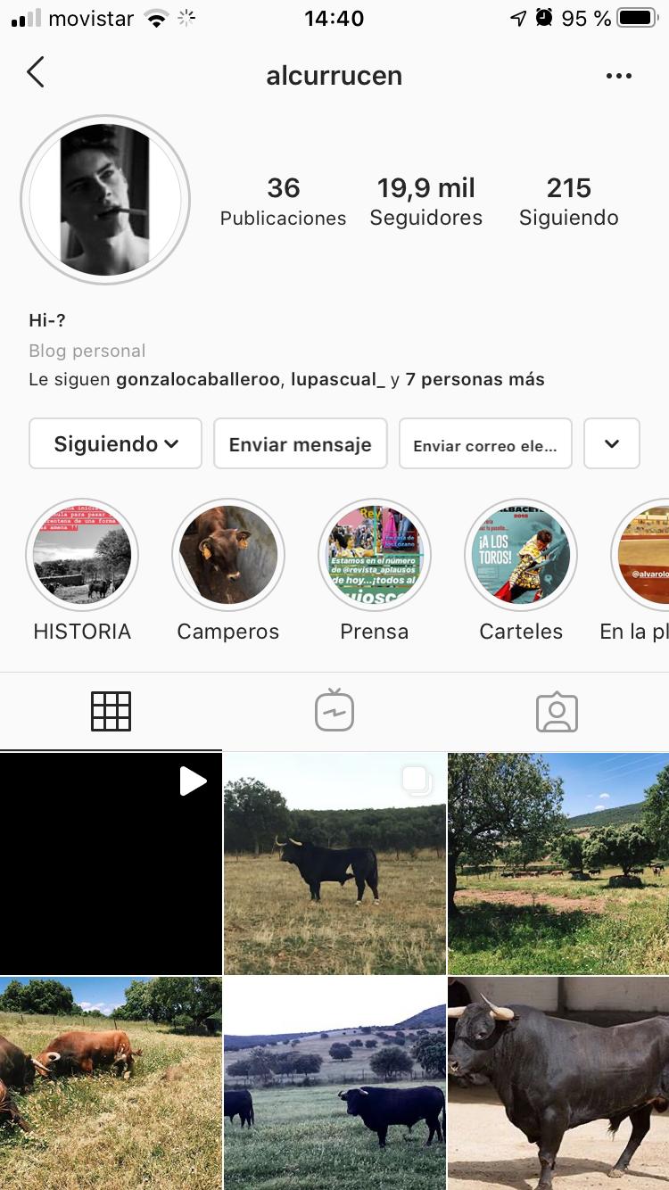 Ciberataque a la cuenta de Instagram de Alcurrucén