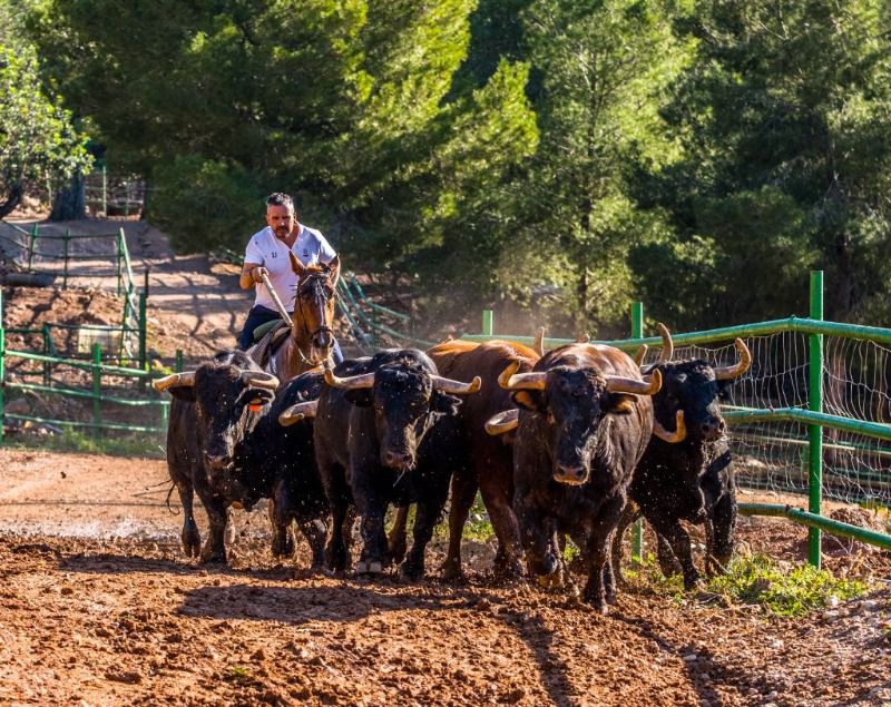 Daniel Ramos, en busca de la clase en la sierra de Castellón