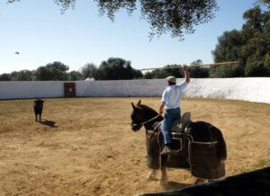 Tentadero Cuadri