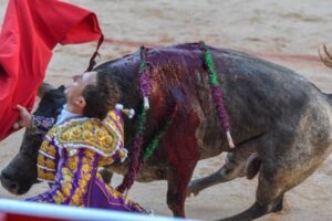 Pamplona, domingo 14 de julio de 2019