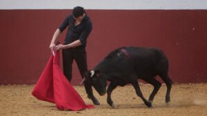 Tentadero en confinamiento en Fuente Ymbro.