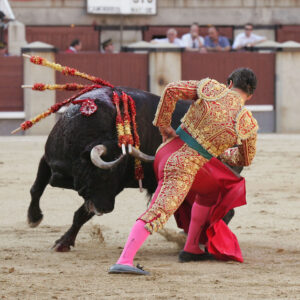 Morante de la Puebla, en la corrida de Beneficencia de 2007.