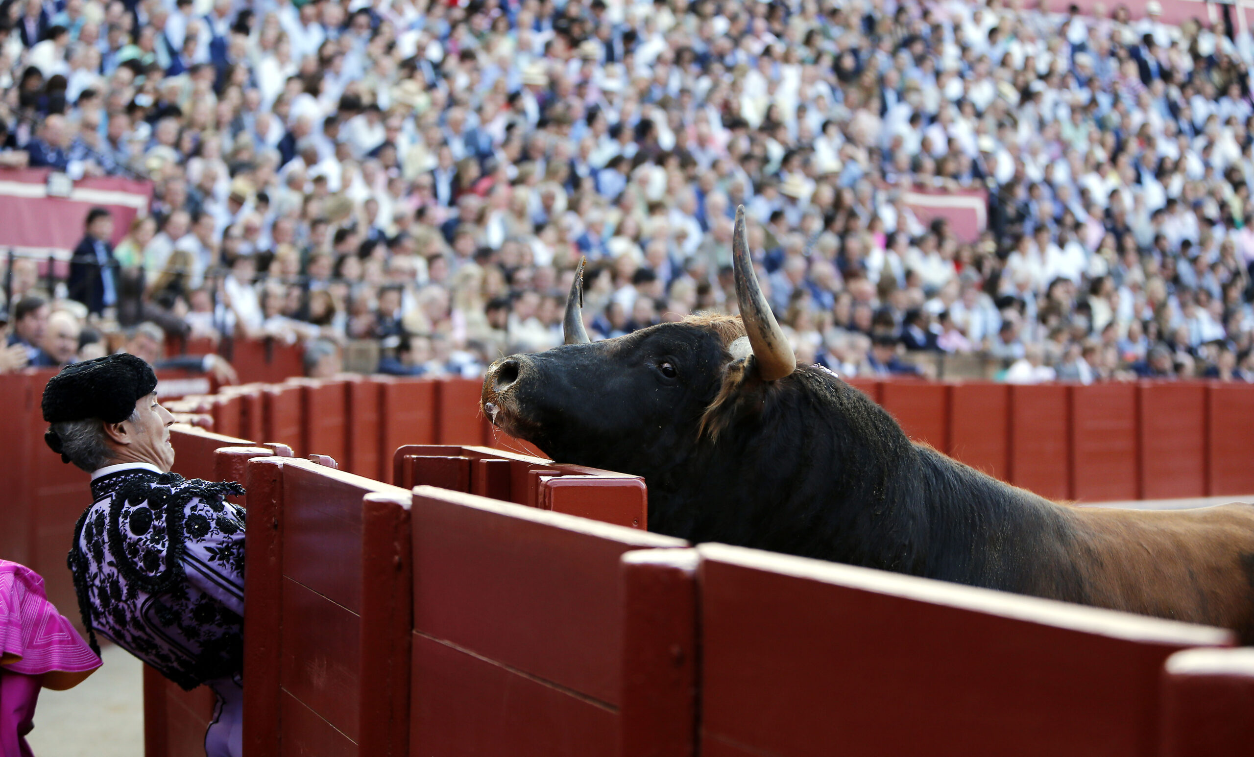El momento para una ley punto cero, ahora o nunca