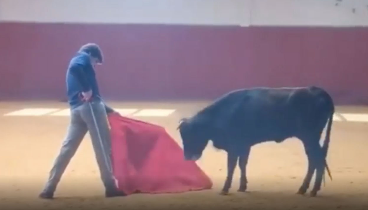 El Juli: "Con la ilusión intacta... ¡Resistiremos!”