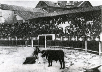 Colmenar Viejo rinde tributo a Gallito y Yiyo