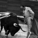 Antoñete y Las Ventas