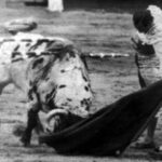 Antoñete y Las Ventas