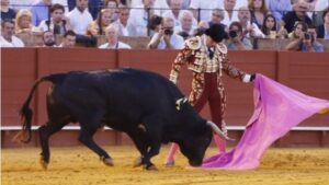 Sevilla, sábado 28 de septiembre de 2019