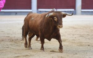 Madrid, domingo 29 de septiembre de 2019