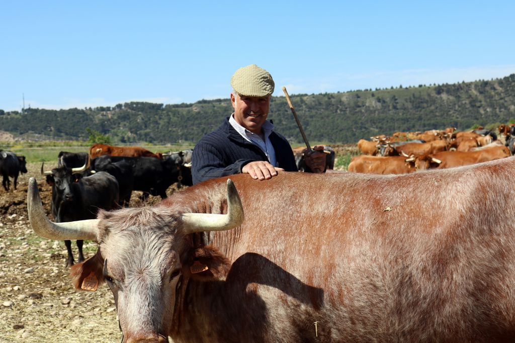 El desgarrador testimonio de los ganaderos de bravo navarros