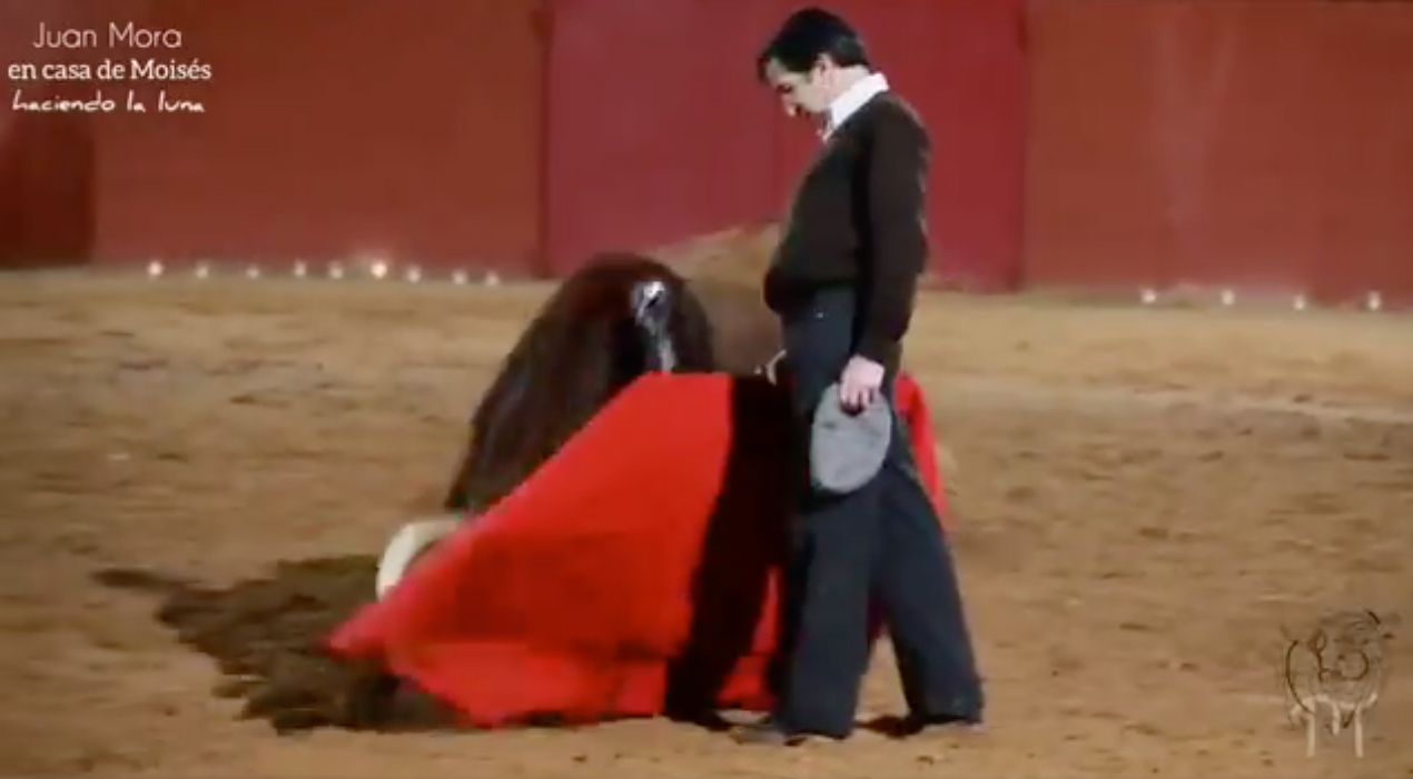 La torería de Juan Mora, en vídeo
