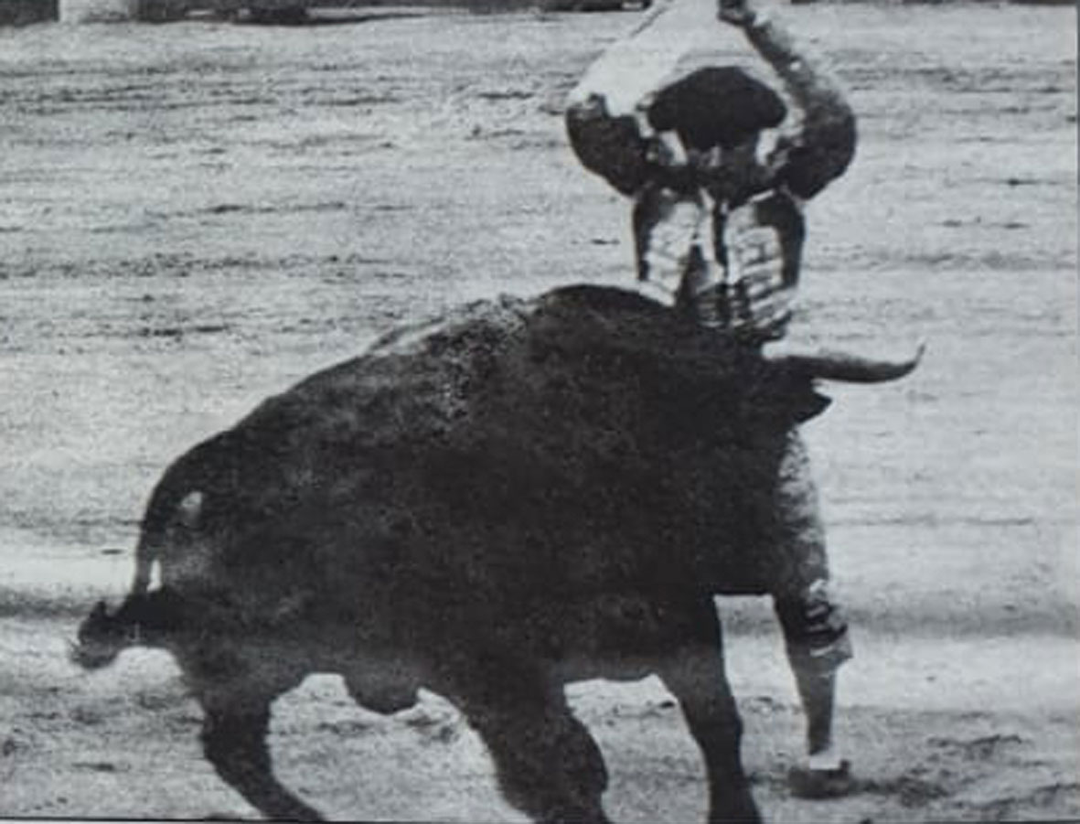 Esplá, vuelta al ruedo tras un tercio de banderillas cumbre en San Isidro