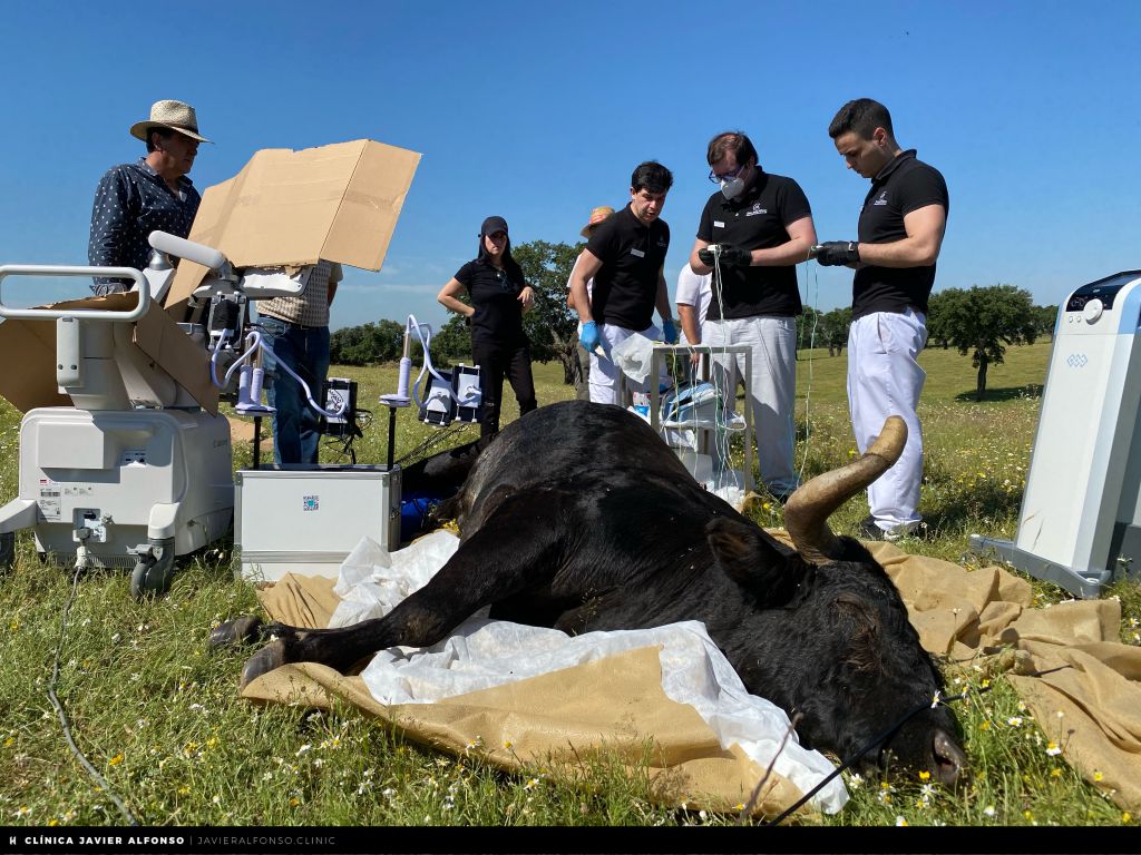Campanero, de José Luis Bertol