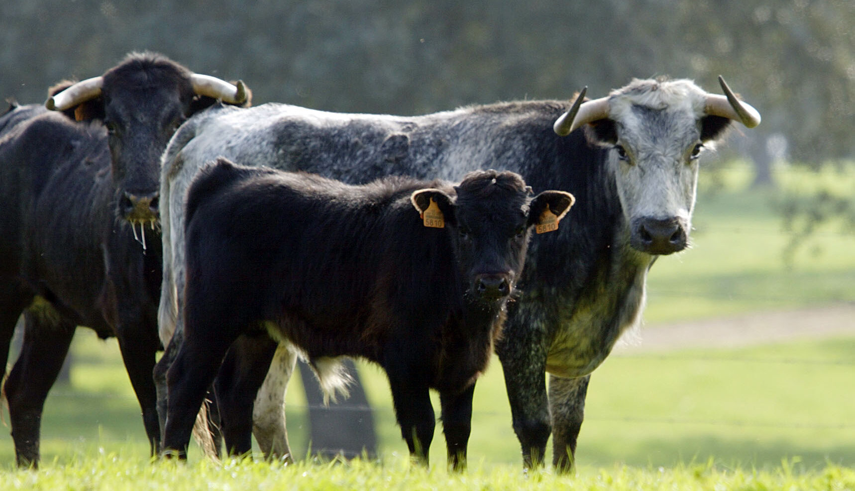 2021: un año clave para el futuro