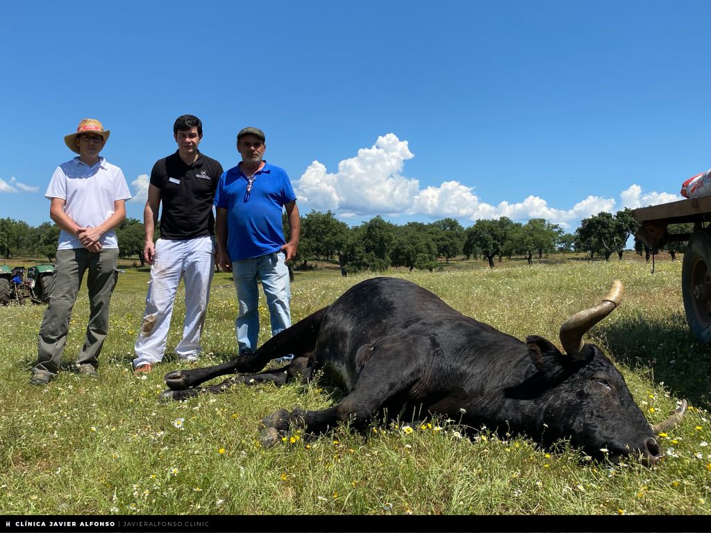 Campanero, de José Luis Bertol